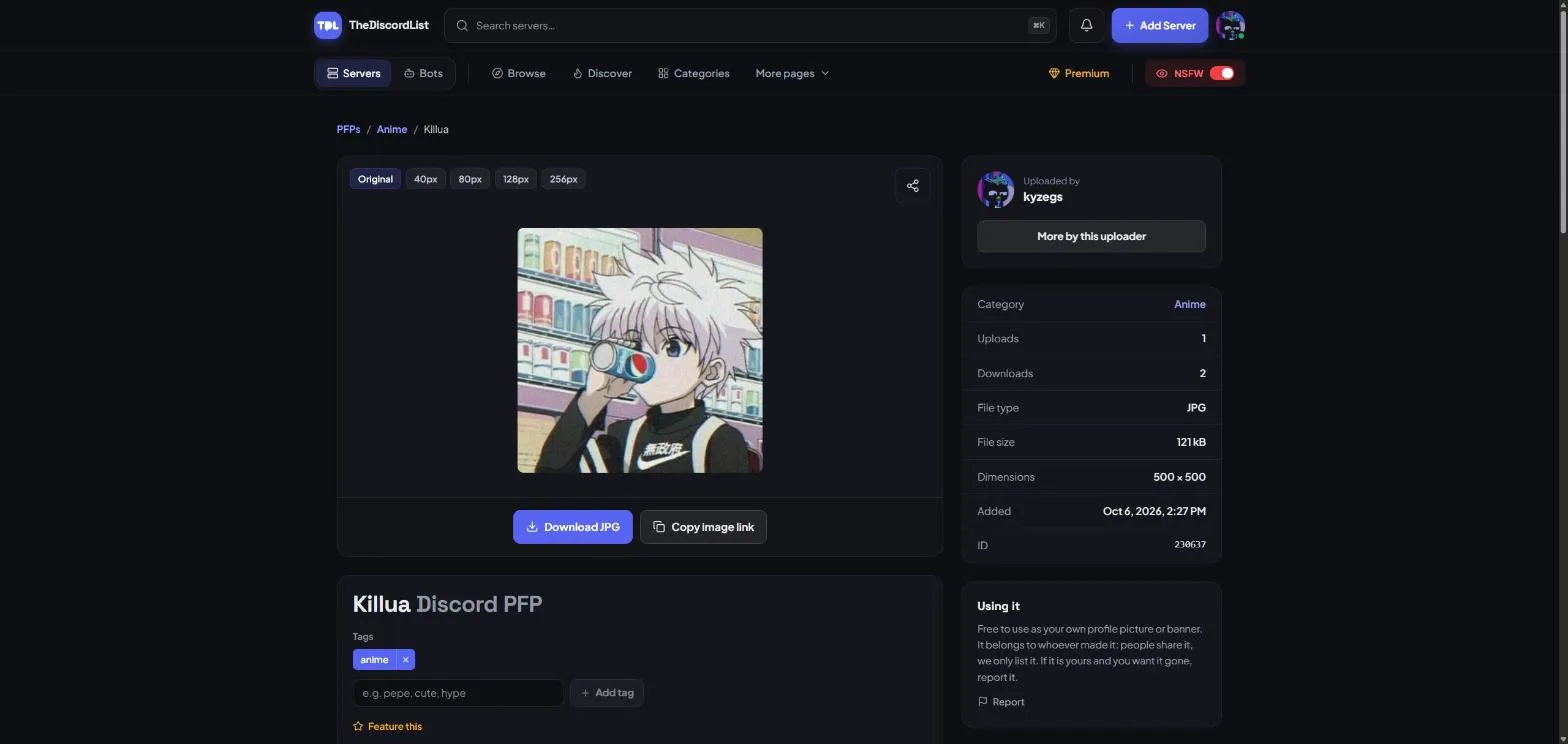 A PFP's page, with size options, tags and details