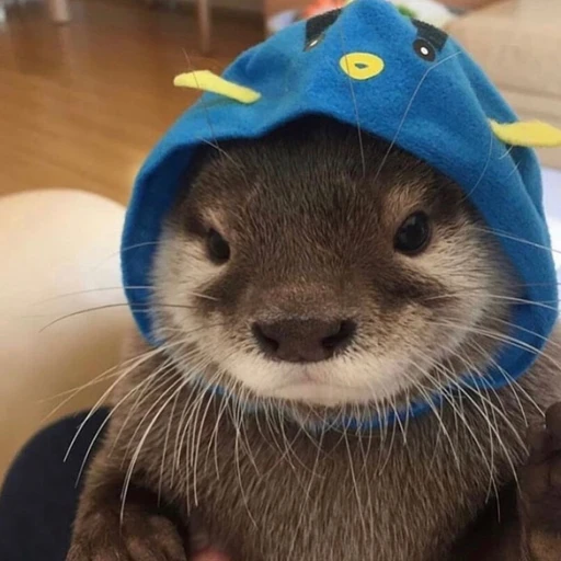 Otter