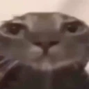 guuug