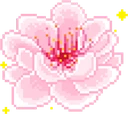 flower_pink