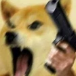 dogewithgun