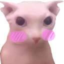 a_bingus_blush