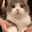 catwinki