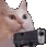 Catgun