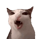 iedgy_cateat