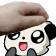 PETTHEPANDA