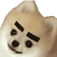 Brows