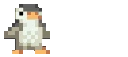penguin1