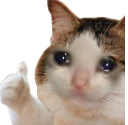 CatThumbsUp