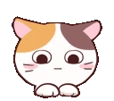 KittyEyes