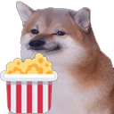 dogecorn