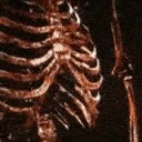 Bad2theBone