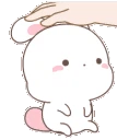 p_bunnypat
