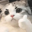 nekothumb
