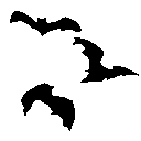 M1_bats