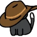 cowboycat