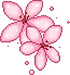77766sakura