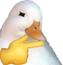 duck_think