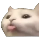 mlem