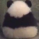 ASAngryPanda