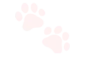 xedgy_pinkpaws