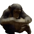 monke2
