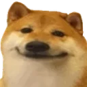StaryuukiDogeSmile