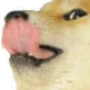 stupka
