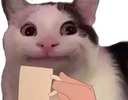 belu_sip
