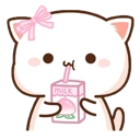 AMcatcutesip