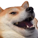 hah