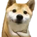 kyahua_sal