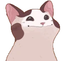 cat_pop