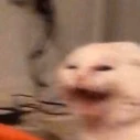 AG_Scream