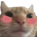 swagblush2