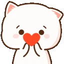 catlove