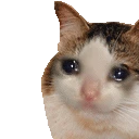 kacatsadthumbs