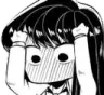 NotLikeKomi
