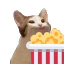 popcat