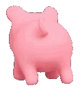 pigdance