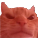 angrycat