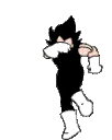 vegetadance