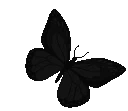 ablackbutterflying