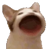 hyperpopper