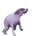 dancetillyouredead
