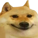 dogsmile