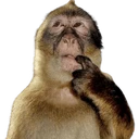 monkeythink
