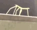 stickBug