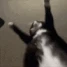 Jigglin