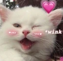 zzz_wink